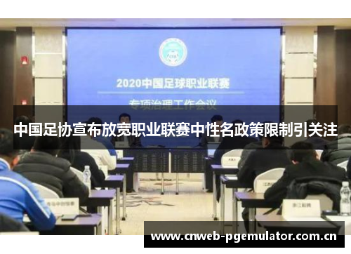 中国足协宣布放宽职业联赛中性名政策限制引关注 中国足协宣布放宽职业联赛中性名政策限制引关注
